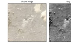 Comprehensive Guide to Image Augmentation Using Pytorch