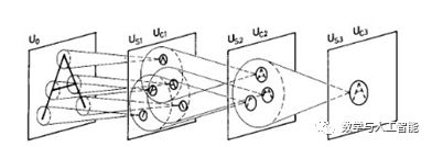 15 Questions About Convolutional Neural Networks and Biological Visual Systems