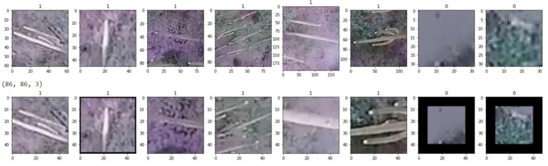 Cactus Image Classification Based on Convolutional Neural Networks (CNN)