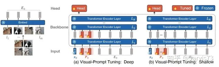 Overview of Prompt Learning and Tuning