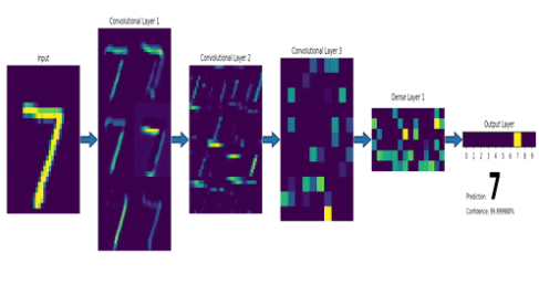 Visual Explanation of Neural Networks in Deep Learning