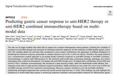 Multi-Modal AI Analysis Technology Aids Precision Prediction of Treatment Response in HER2-Positive Gastric Cancer Patients