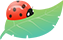 Insect Recognition System Based on CNN