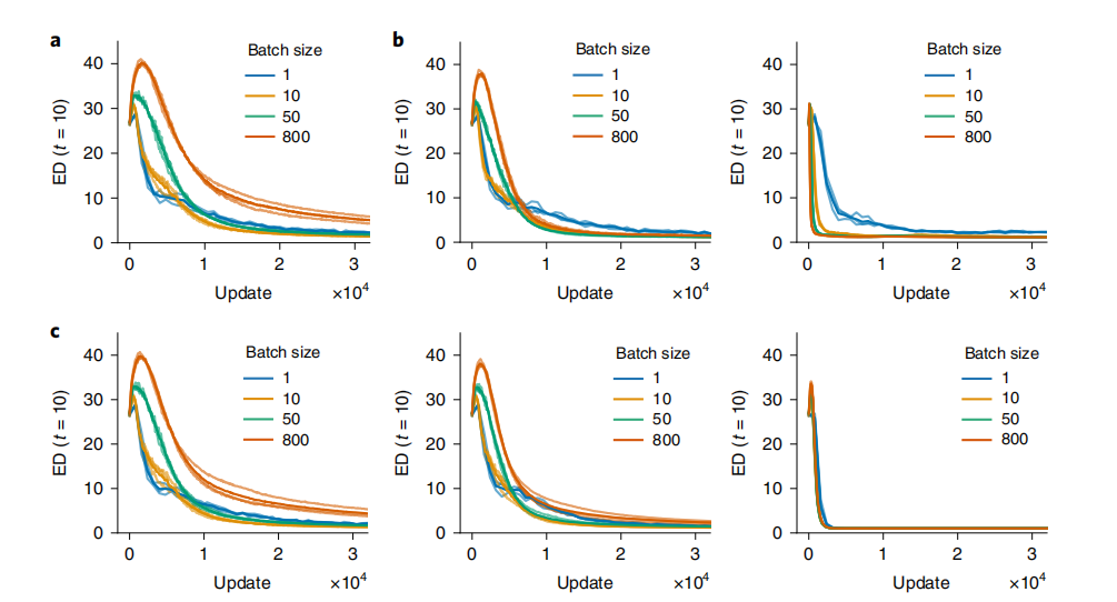 RNN Learns Suitable Hidden Dimensions with White Noise