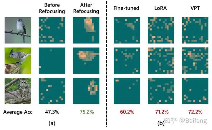The Importance of Refocusing Attention in Fine-Tuning Large Models