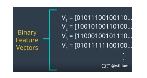 Feature Extraction and Matching Techniques