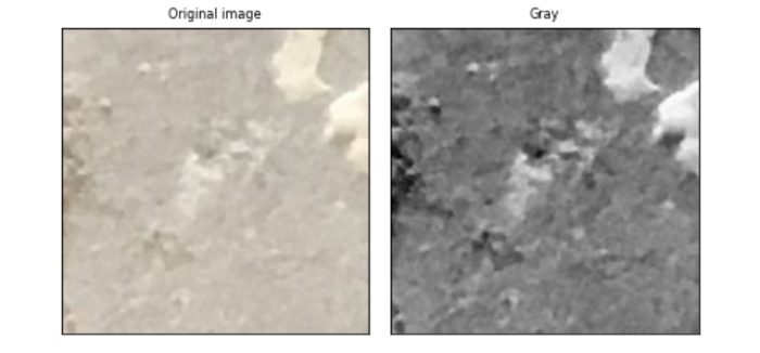 Comprehensive Guide to Image Augmentation Using Pytorch