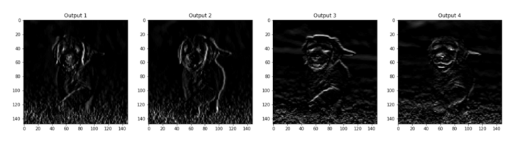 Understanding Convolutional Networks with PyTorch