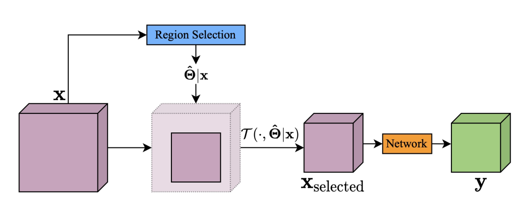 Dynamic Neural Networks: Key Challenges and Solutions