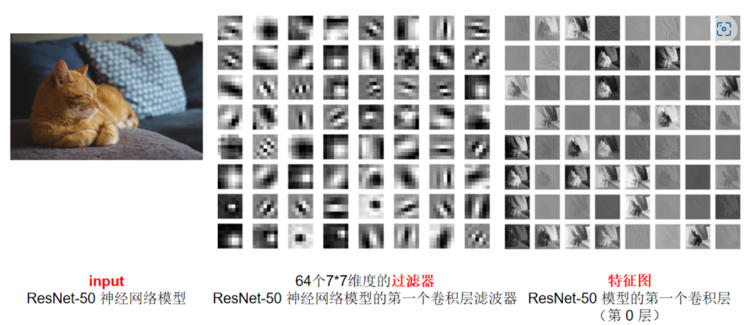 Fundamentals of Convolutional Neural Networks (CNN)