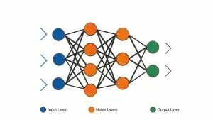 Artificial Neural Networks (ANN): Mathematical Models Mimicking Biological Networks