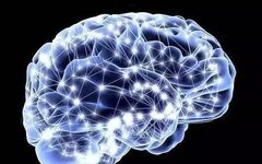 An Overview of Neural Networks: From Neurons to Deep Learning