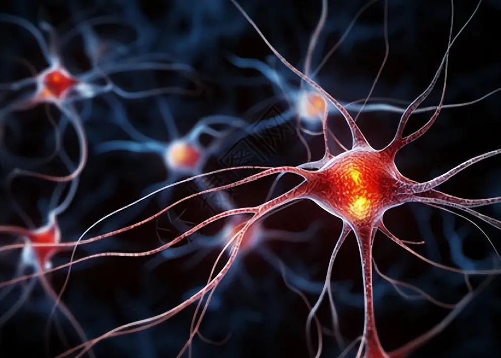 How Neural Networks Learn to Predict