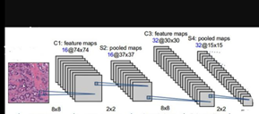 Comprehensive Introduction to Convolutional Neural Networks