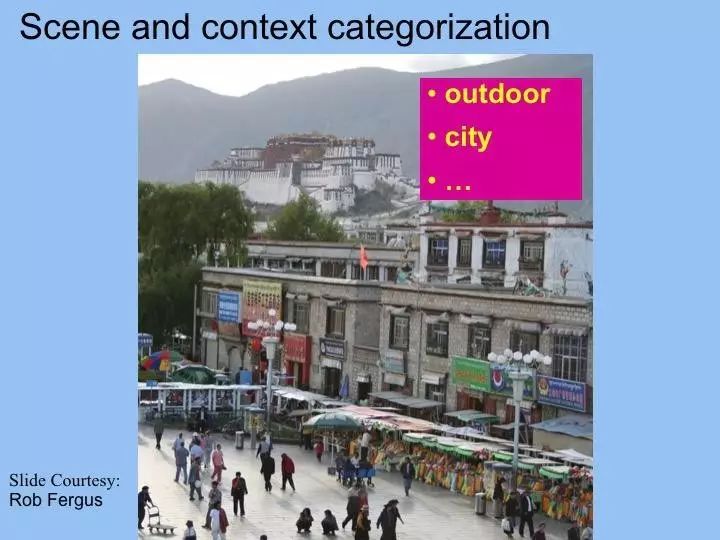 Image Recognition and Machine Learning Insights