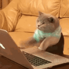 9 Tips to Speed Up Your PyTorch Model Training