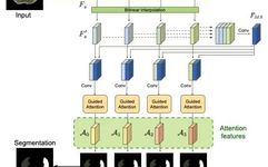 Interpretation of Attention Mechanisms in Medical Imaging