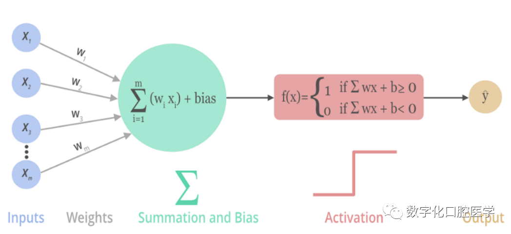 Understanding Neural Networks in Deep Learning