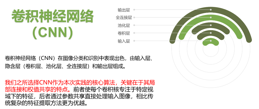 Insect Recognition System Based on CNN