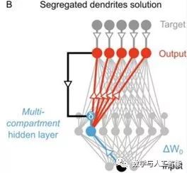 15 Questions About Convolutional Neural Networks and Biological Visual Systems