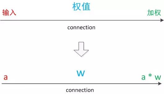 An Overview of Neural Networks: From Neurons to Deep Learning