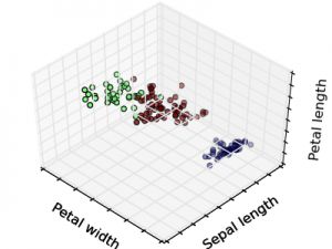 17 Common Algorithms in Machine Learning