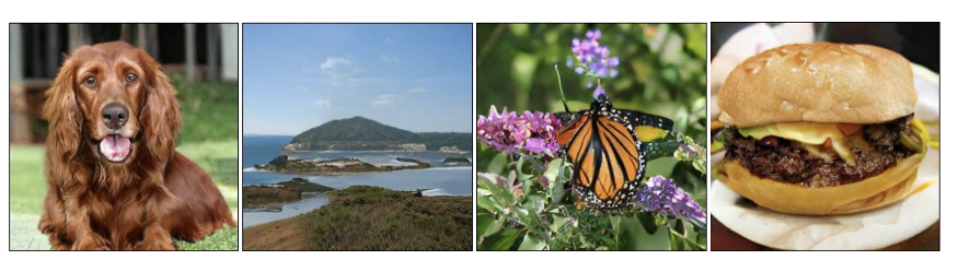 Using GANs for Data Augmentation