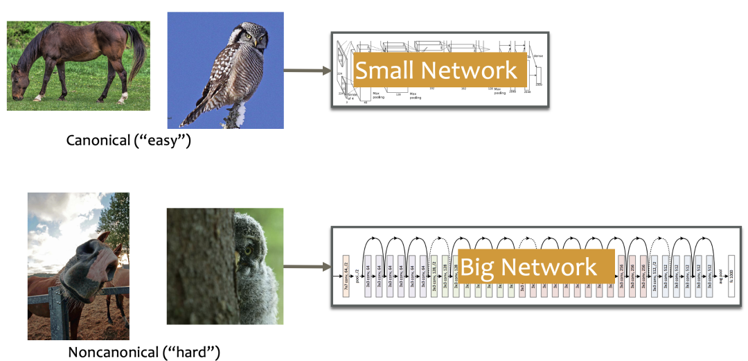 Dynamic Neural Networks: Key Challenges and Solutions