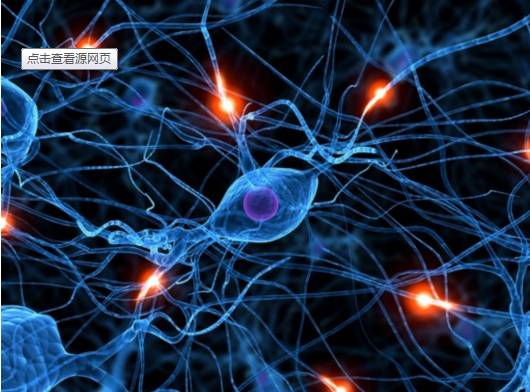 Neural Network Analysis Algorithm