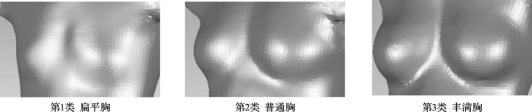 Construction of Youth Female Chest Recognition Model Based on LSTM Neural Network