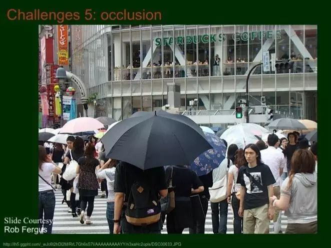 Image Recognition and Machine Learning Insights