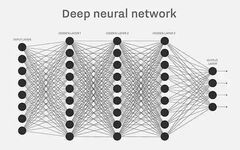 What Is Neural Network Algorithm?