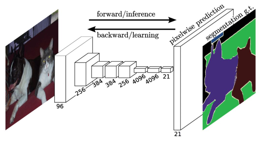 Understanding Applications of Deep Learning in Computer Vision