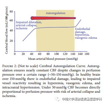 Multimodal Monitoring: A New Tool for Neurocritical Care in Comatose Patients