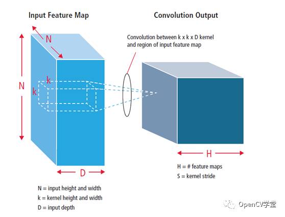 Understanding Convolutional Neural Networks (CNN)