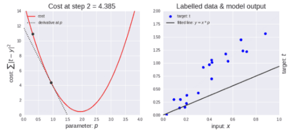 Understanding Neural Network Functionality Through Examples