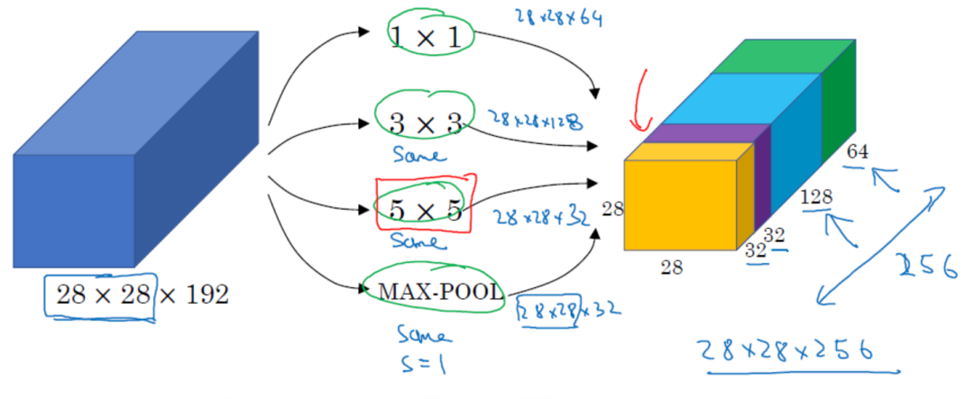 A Deep Dive into GoogLeNet: Evolution from Inception v1 to v4