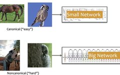 Dynamic Neural Networks: Key Challenges and Solutions
