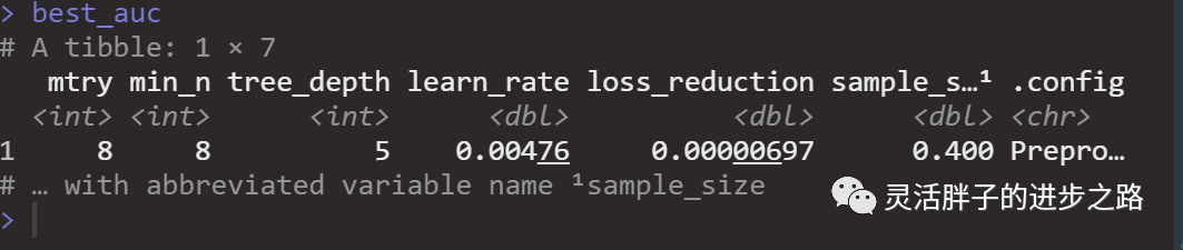 Building XGBoost Classification Model with Tidymodels