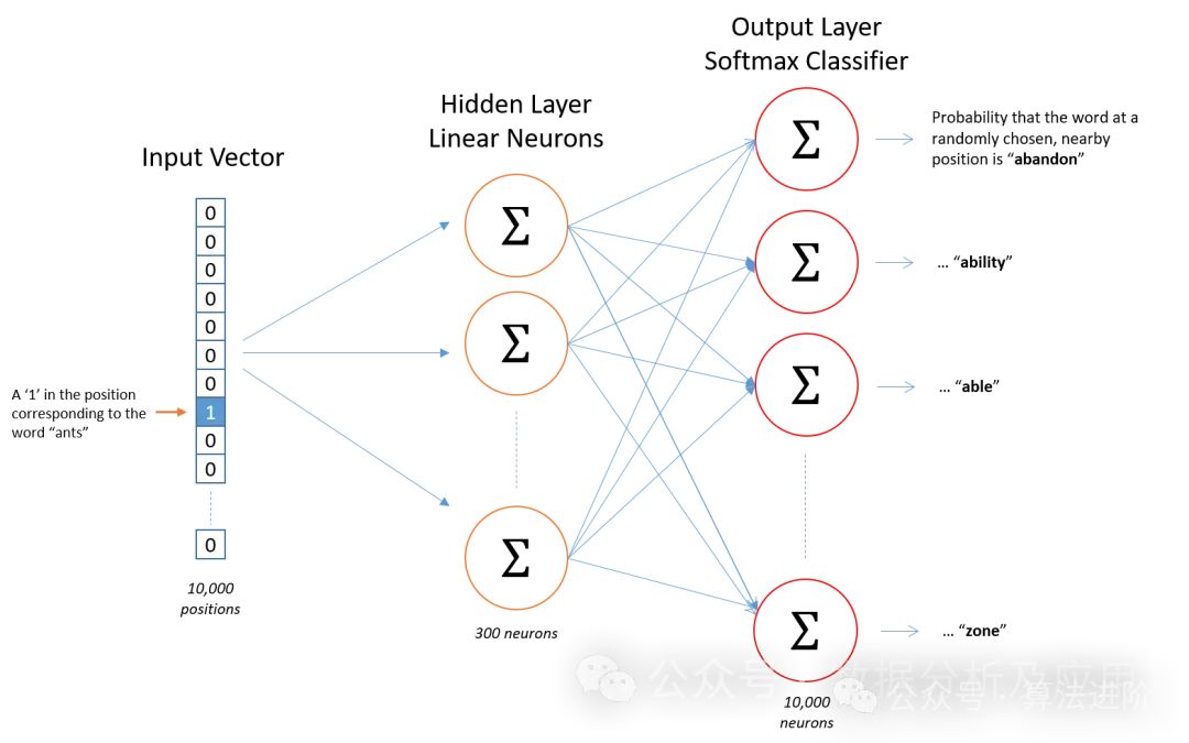 Top 10 Deep Learning Models