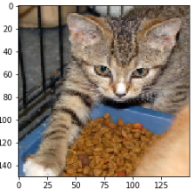 Trends and Techniques of Deep Learning in Image Processing