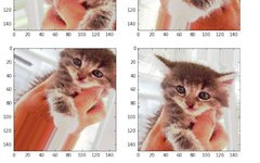 Training Convolutional Neural Networks (CNN) From Scratch Using Data Augmentation