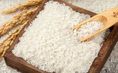Data Augmentation and Prediction of Food Processing Contaminants
