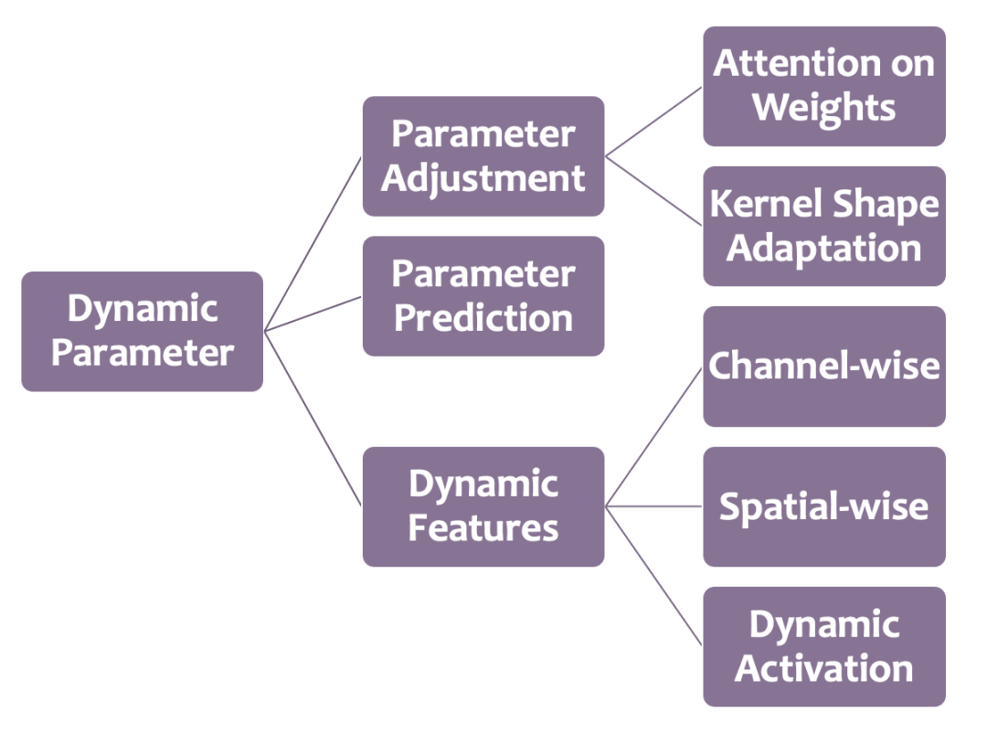Dynamic Neural Networks: Key Challenges and Solutions