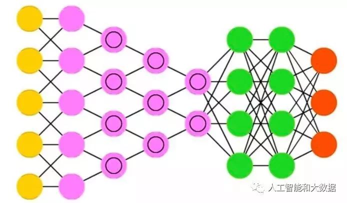 Eight Essential Neural Network Architectures in Machine Learning
