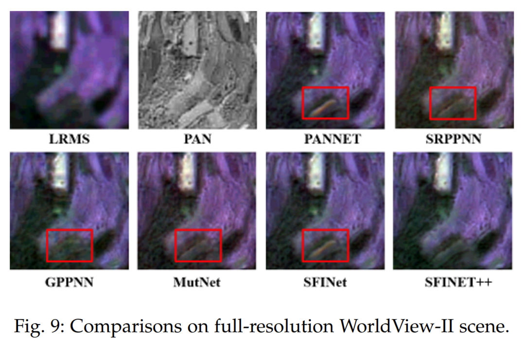 A General Spatial-Frequency Learning Framework for Multimodal Image Fusion