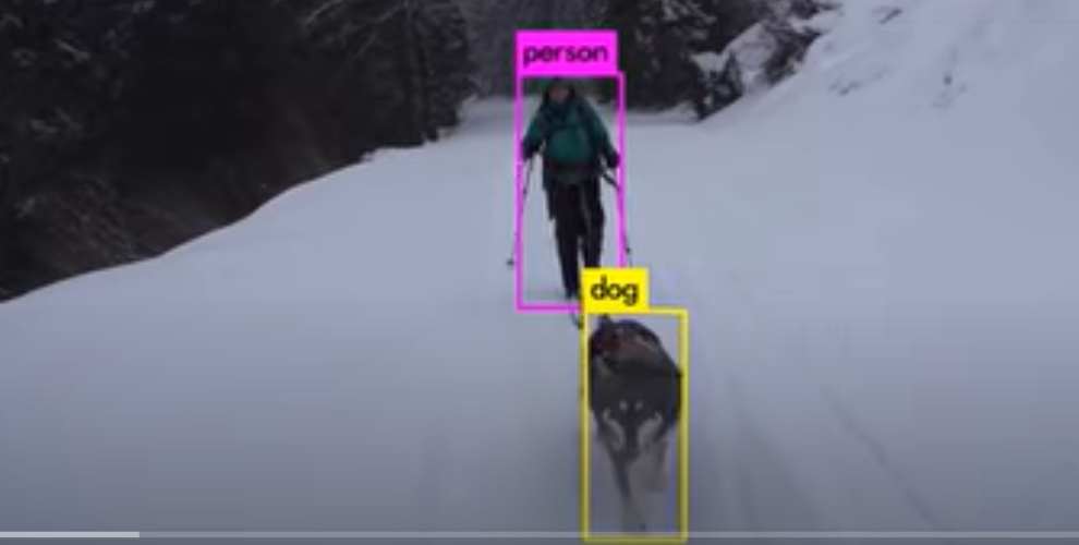 Introduction to Object Detection in Image Processing