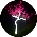 PyTorch Multiprocessing Tutorial