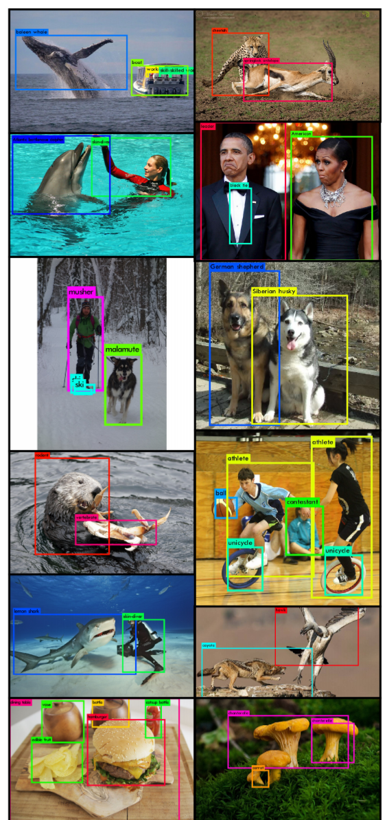 Introduction to Object Detection in Image Processing