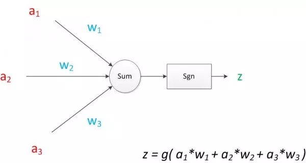 An Overview of Neural Networks: From Neurons to Deep Learning